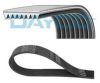 DAYCO 8PK1226HD V-Ribbed Belts